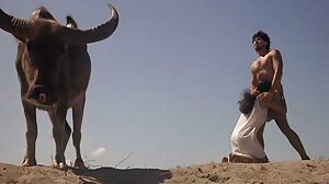 Arton år erotisk porrfilm
